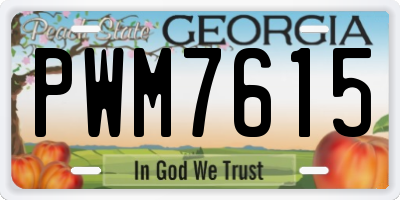 GA license plate PWM7615