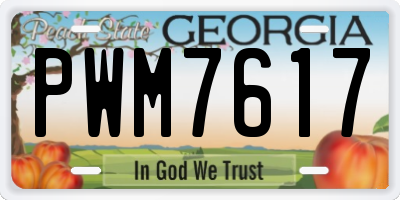 GA license plate PWM7617