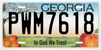 GA license plate PWM7618