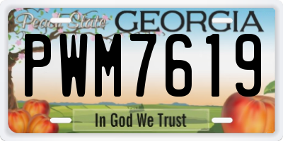 GA license plate PWM7619