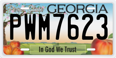 GA license plate PWM7623