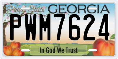 GA license plate PWM7624
