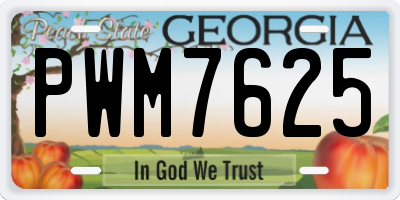 GA license plate PWM7625