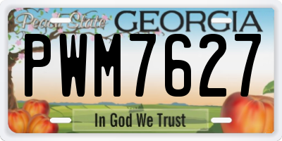 GA license plate PWM7627