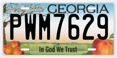 GA license plate PWM7629