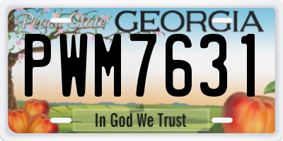 GA license plate PWM7631