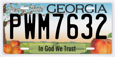 GA license plate PWM7632