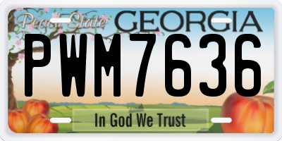GA license plate PWM7636