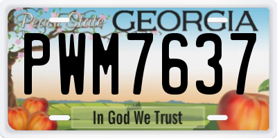 GA license plate PWM7637