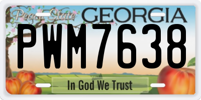 GA license plate PWM7638