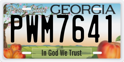 GA license plate PWM7641