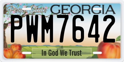 GA license plate PWM7642