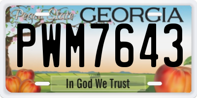 GA license plate PWM7643