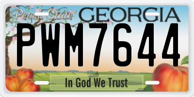 GA license plate PWM7644
