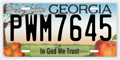GA license plate PWM7645