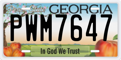GA license plate PWM7647