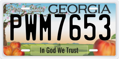 GA license plate PWM7653