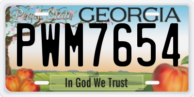 GA license plate PWM7654