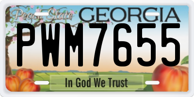 GA license plate PWM7655