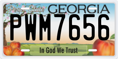 GA license plate PWM7656