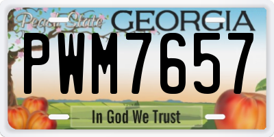 GA license plate PWM7657