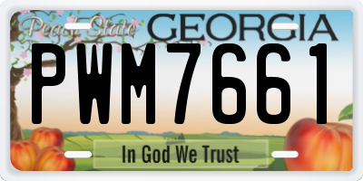 GA license plate PWM7661