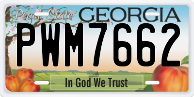 GA license plate PWM7662