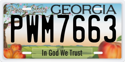 GA license plate PWM7663