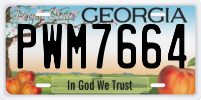 GA license plate PWM7664