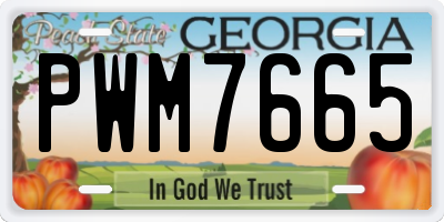 GA license plate PWM7665