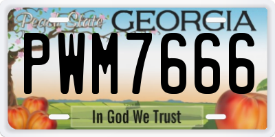 GA license plate PWM7666