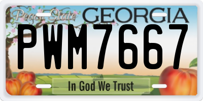 GA license plate PWM7667