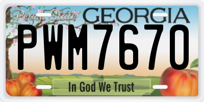 GA license plate PWM7670