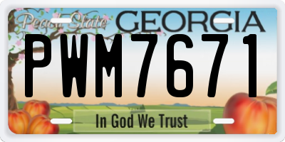 GA license plate PWM7671