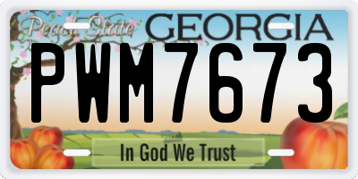 GA license plate PWM7673