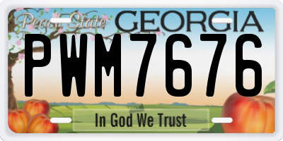 GA license plate PWM7676