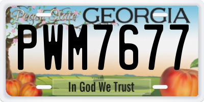 GA license plate PWM7677