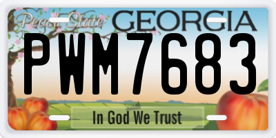 GA license plate PWM7683