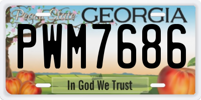 GA license plate PWM7686