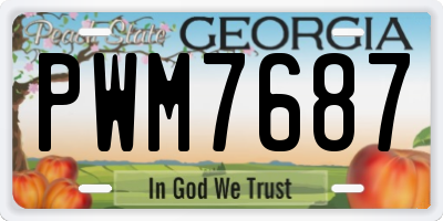 GA license plate PWM7687