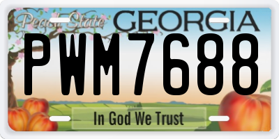 GA license plate PWM7688
