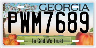 GA license plate PWM7689