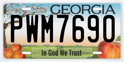 GA license plate PWM7690