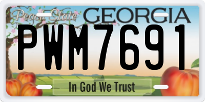 GA license plate PWM7691