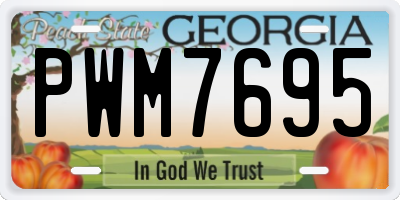 GA license plate PWM7695