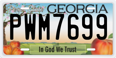 GA license plate PWM7699