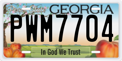 GA license plate PWM7704
