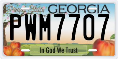 GA license plate PWM7707
