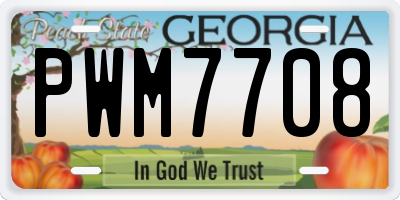 GA license plate PWM7708