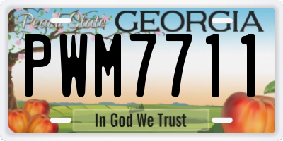 GA license plate PWM7711